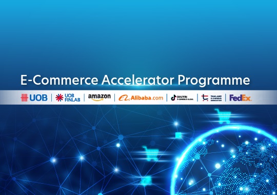 Ecommerce Accelerator Programme 2025