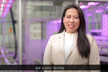 Kingdom organic