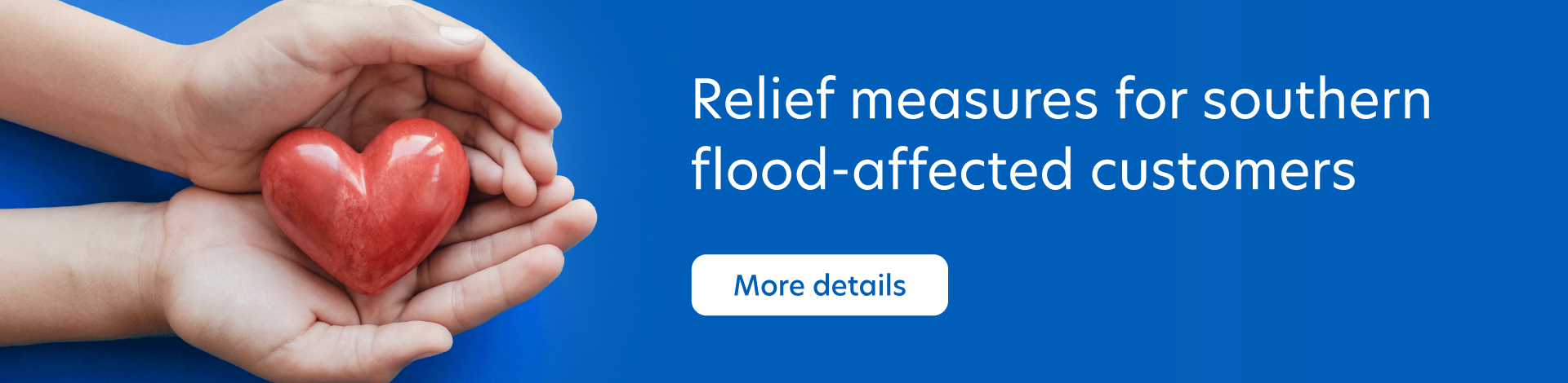 Relief Measures for Southern Flood-Affected Customers