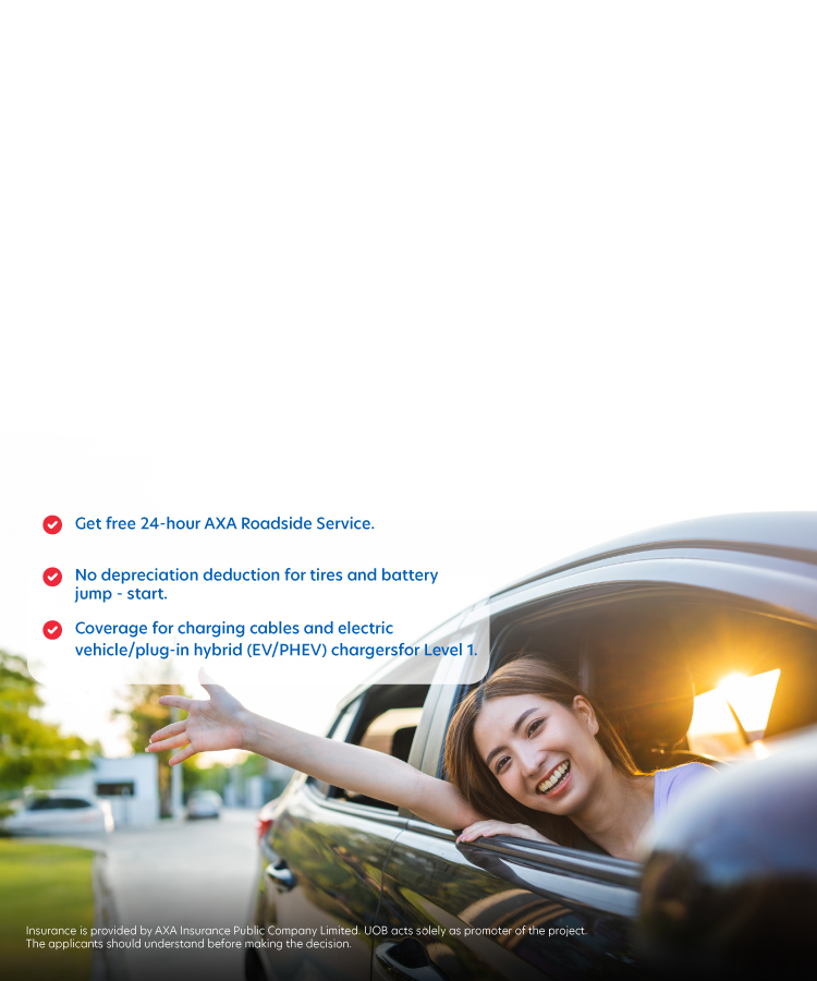 AXA Motor Smart Drive Type 1, 2+, 3+