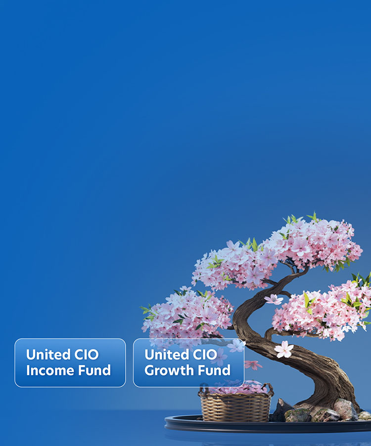United CIO Funds