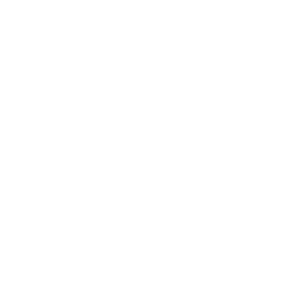 play button